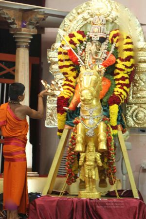 20140827 Photo 1030 1aqYj6Tvigkrn86gRV9372gOuhlVAP88P.jpg