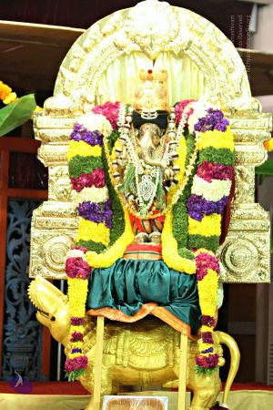 20140829 Photo 1098 195Vrt01yaG0r9PW7dfapWpbhSrbahxqM.JPG