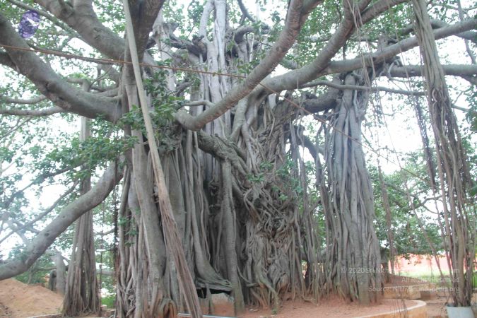 20140829 Photo 1153 1lOkOKMC9OPBIvwqvx-DE DbOj7dxnqPT.JPG