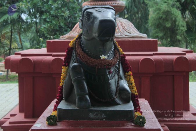 20140829 Photo 1290 1 PmGUlH8pUov mLeYkwsFbcX7lSMPgoG.JPG