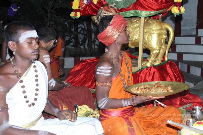 20140829 Photo 1340 1HID5GNWQyAGDtTxEelx7ArQN8-imSGjO.JPG