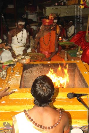 20140829 Photo 1360 15MFvAdBe1HNgI26jM83GCPwrk2BBf0yf.JPG