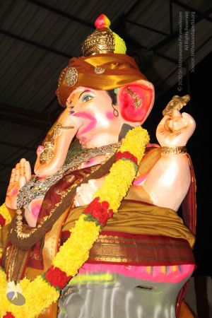 20140829 Photo 1364 13h9jmdDJAkyOpGQy25tN5WOCsp-v3knG.JPG