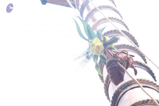 20140831 Photo 1089 1uvnXglXeTPQKwHW2pa9v8L5C5hR-F2uq.JPG