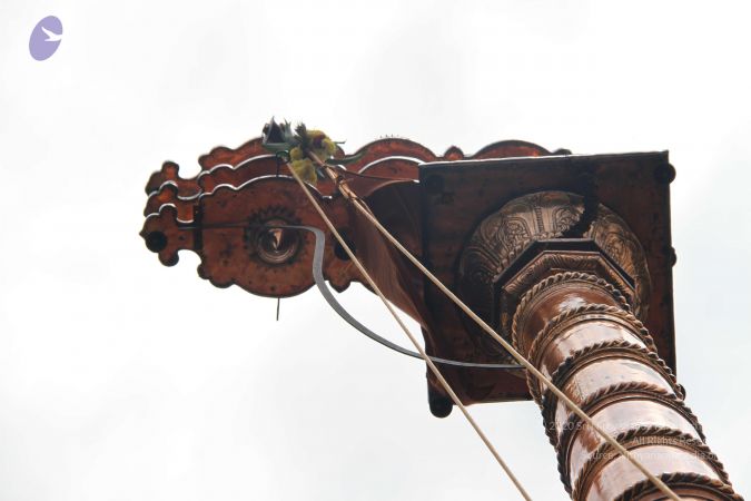 20140831 Photo 1103 1sM1mwfbHy68WsUbhzcxKQi1yqglPDoZQ.JPG