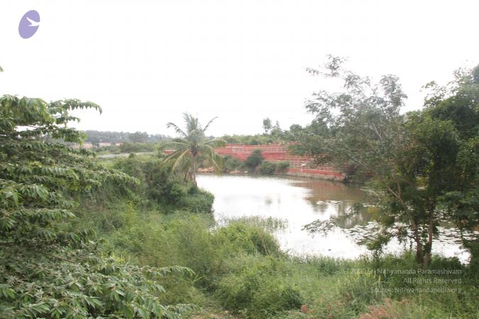 20140901 Photo 1065 1DW-ZO8r6E4QvFZ6gnNPv3FeJpy85KIhi.JPG