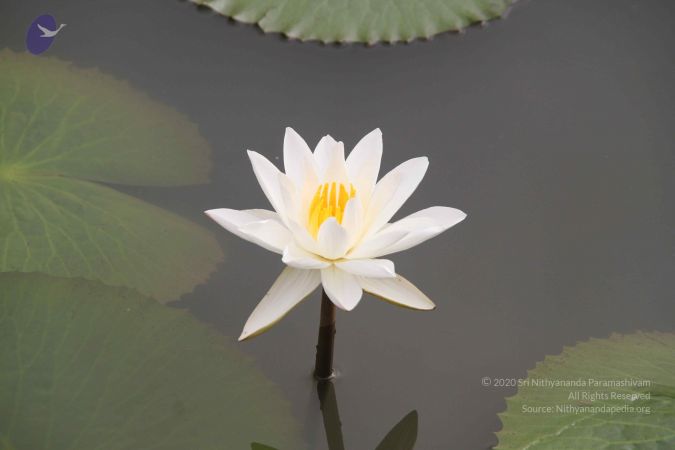 20140901 Photo 1067 1I69AlO0E5IdUMge62CkKMelzTIiyoNeV.JPG