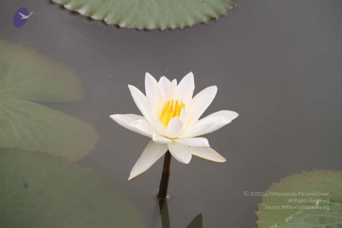 20140901 Photo 1068 1kOIJ352 iSe0pZUEIcGTYHwdso04wy5s.JPG