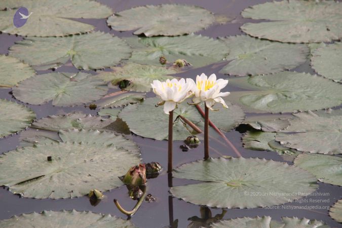 20140901 Photo 1069 1x4H5 E9g9V4TTtLnEKIk1tUe1JpQyEce.JPG