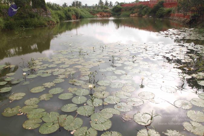 20140901 Photo 1070 1-IMKlEuW7qQAfEE19MmMUg1CgPbtYIMg.JPG