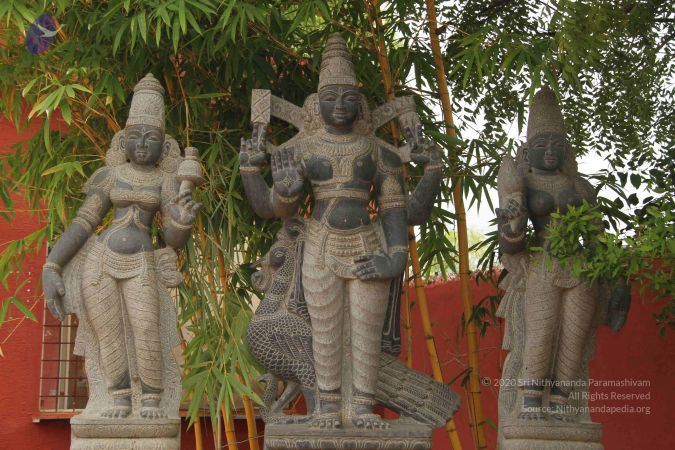 20140901 Photo 1074 17o-qaLWB5F 1o39G0c1oY kPkQHIN500.JPG