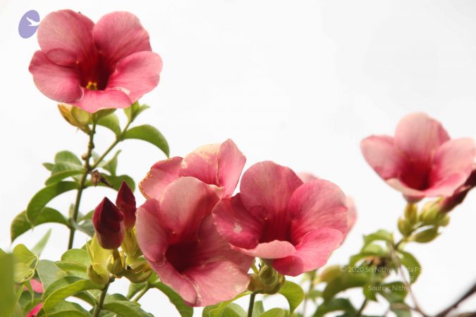 20140901 Photo 1080 1EhYJbnWHdmN 9P FiG0MPz4J2uv185IR.JPG