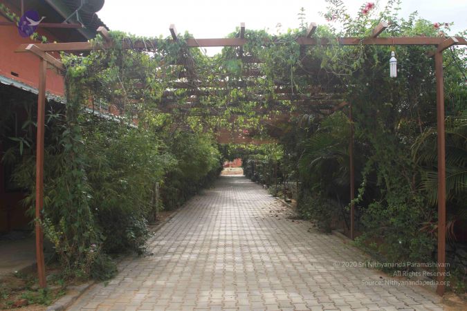 20140901 Photo 1081 1F9xwhcD9KWE166G2k13ljTkMEOMeynM4.JPG