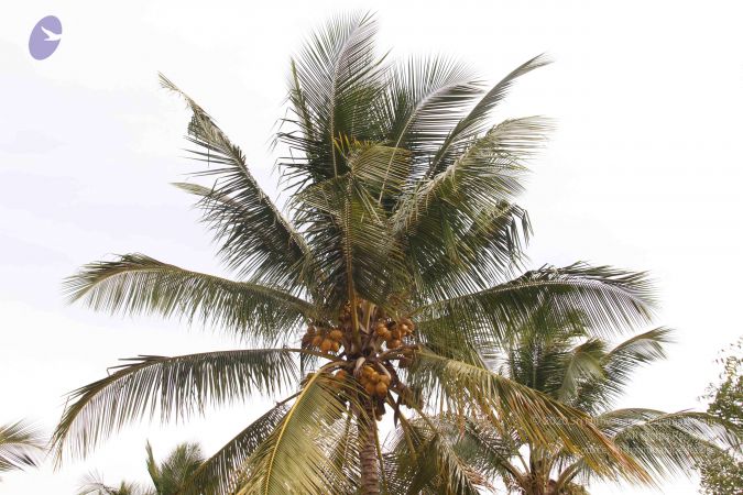 20140901 Photo 1083 1EMcBozh2fNQy-kPym7la7V2DZuDyjEx7.JPG