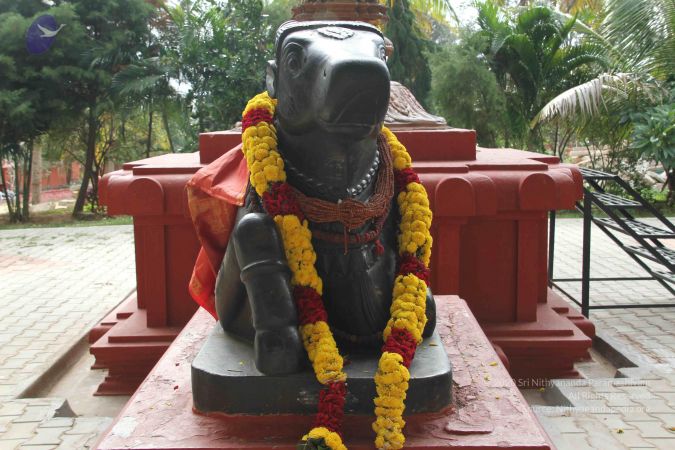 20140901 Photo 1088 1N1vaIeDCs30BhC4p3W95Wh7oVDa16ue-.JPG