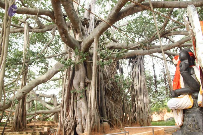 20140901 Photo 1124 1r1kTlkB jIf5vtqtPCzg2NfHyWqdSlTN.JPG