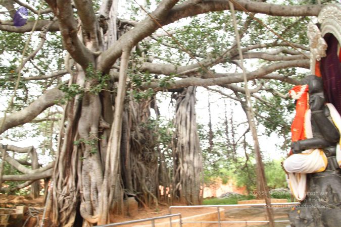 20140901 Photo 1125 1NWbU4imknlpykKpGXiqPy3ZB7-ijrNX7.JPG