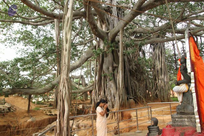 20140901 Photo 1126 1fgWzzzvCtjUjsRyDP7MHBkdPfFzfyidV.JPG