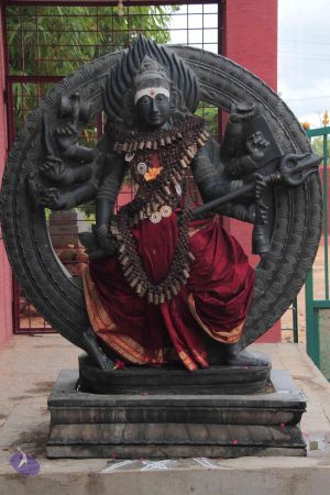 20140902 Photo 1000 16cUCZoMz4Orsa21QS5wfLt2CoUMu4Owv.JPG