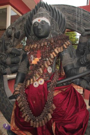 20140902 Photo 1004 1pDVNRB30sNhTHMAZXvCpEivxqoTdUBxu.JPG