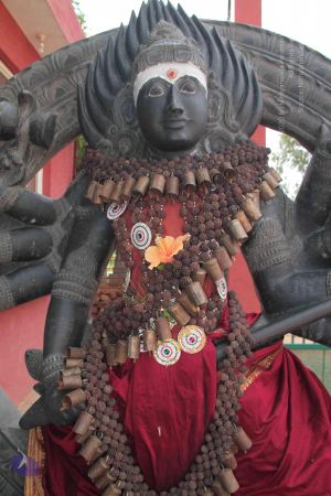 20140902 Photo 1005 1xWx5yBWae54Su4nmgaPoCIReFT51p5VK.JPG