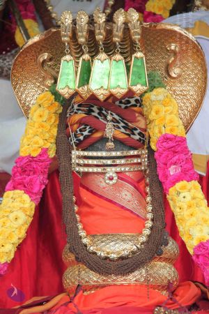 20140902 Photo 1011 1TJkyFs1Apwub4kIN Syi0H8tUXvapxt3.JPG