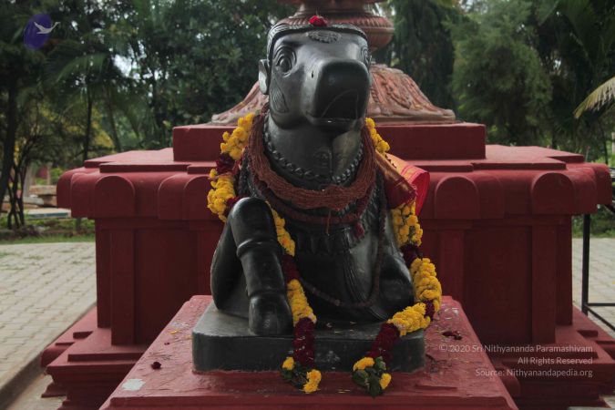 20140902 Photo 1014 1ELFatWCnTIJ7SBT5Ec7BTh52OOrkpR00.JPG