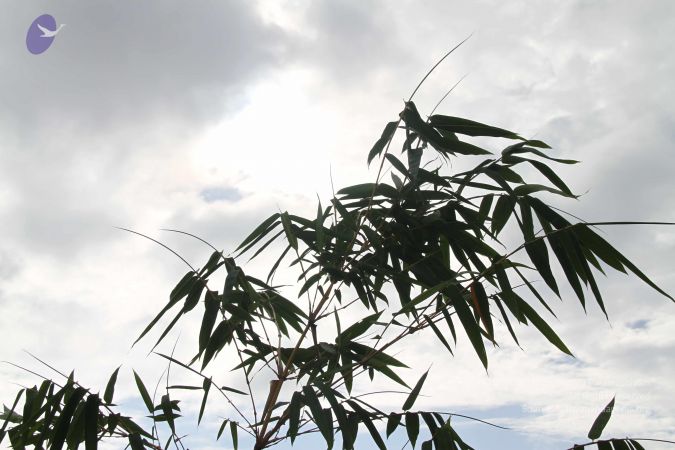 20140902 Photo 1029 1w0zflM5UN6J5rumezELKuuIGtPXMY93e.JPG