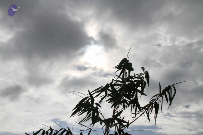 20140902 Photo 1030 1568OSi2tVQHOQIGEOaTdV8eNs86-MN0n.JPG