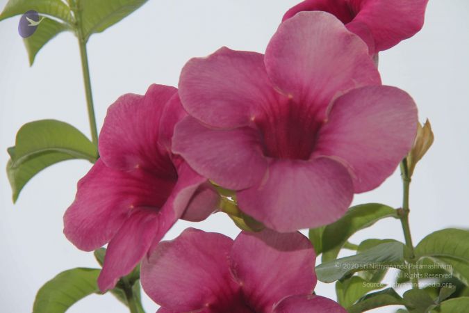 20140902 Photo 1042 1vKBIiF03xU4xEmJUc12WlQpL6UVIh5Ef.JPG