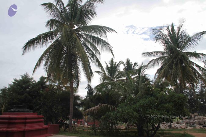 20140902 Photo 1044 1Vvpo8A8mGsncRhtY 1bx1prO9OqgUU5c.JPG