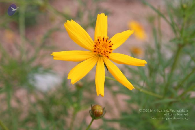 20140902 Photo 1045 1iod3sSo7nNXaK qRTLVWCkS31MZfzwMo.JPG