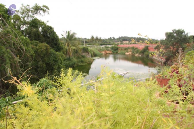 20140904 Photo 1025 1lEq44UoxiZ1t3qE6Gsk9iRIXTKw0Ahbr.JPG