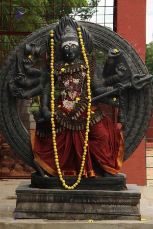 20140904 Photo 1035 11X9yQLjeM6XnqwI3Jn8u8RBMg7xdUL3e.JPG