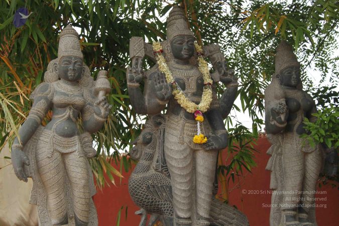 20140904 Photo 1036 1rPrwjwAIvRCuTNlSrPCScOmN5L2e3EBA.JPG