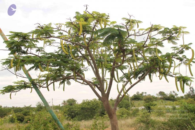 20140904 Photo 1038 1vORg0FnN2p1mQry0Hf8gr 7ITz1RG vM.JPG