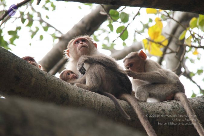 20140904 Photo 1058 1ZhCMD0jQXUj XaIB3uQtk8p8MswywQCk.JPG