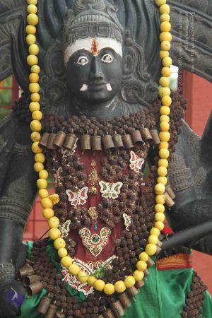 20140905 Photo 1003 1N33wTEr4bsEMOkCbUml0GitUkXMhCOBS.JPG