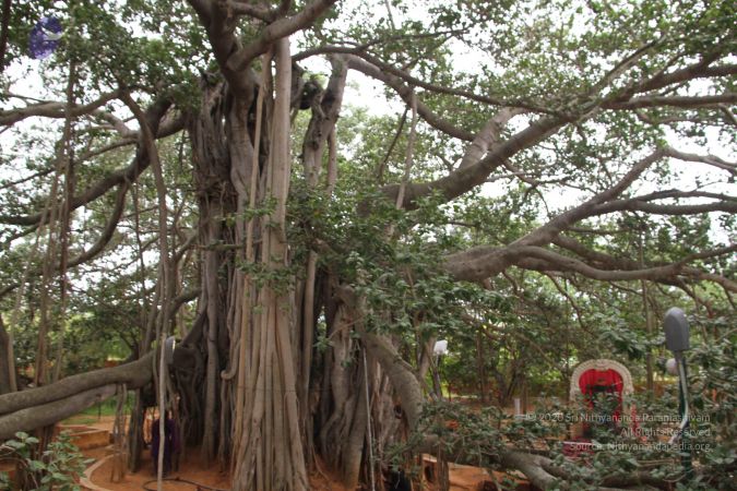 20140905 Photo 1012 11cSyD4QcGxBUXTM01BctuY5-npRAxl3N.JPG