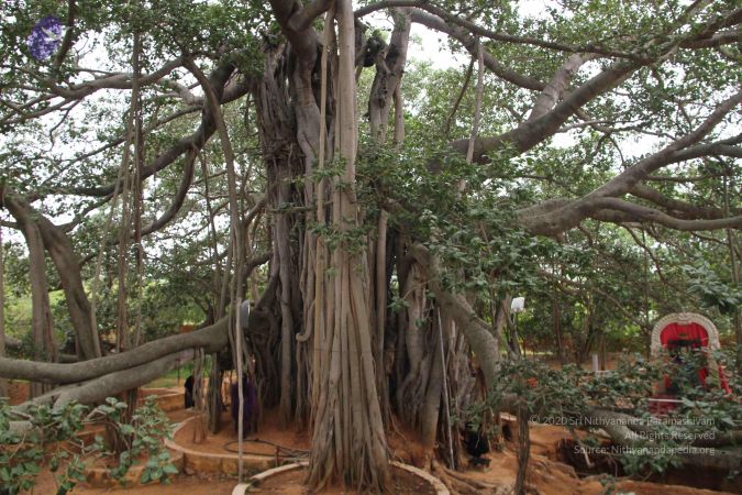 20140905 Photo 1013 1SMzsNUvUWg73N7CvUqh1LvfvU4OeyhqL.JPG