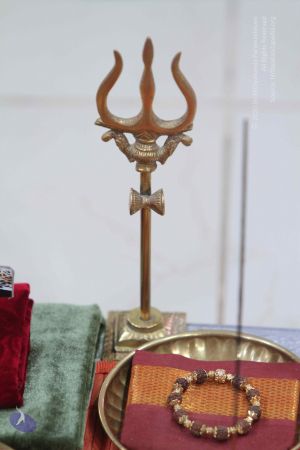 20140905 Photo 1014 1TkX-ux5uwyralplnCqtNn4KZ7LCK6bDm.JPG