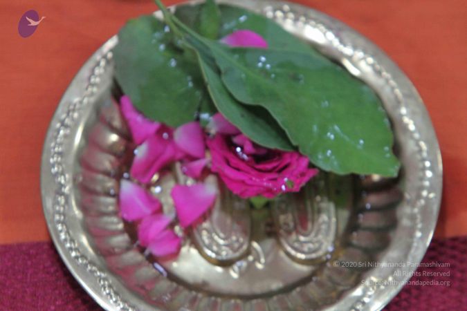 20140905 Photo 1016 11X25sSkTloJ58IAGNiLzq8rQU8BORfuN.JPG