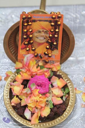 20140905 Photo 1016 153YwYG0ddMkNVAHRUHmyYkUq71bszlce.JPG