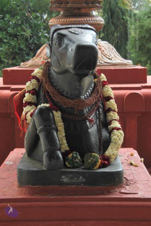 20140905 Photo 1025 1XG26Xhe94AMZNC-sxnoCHSNIUgeLoXZt.JPG