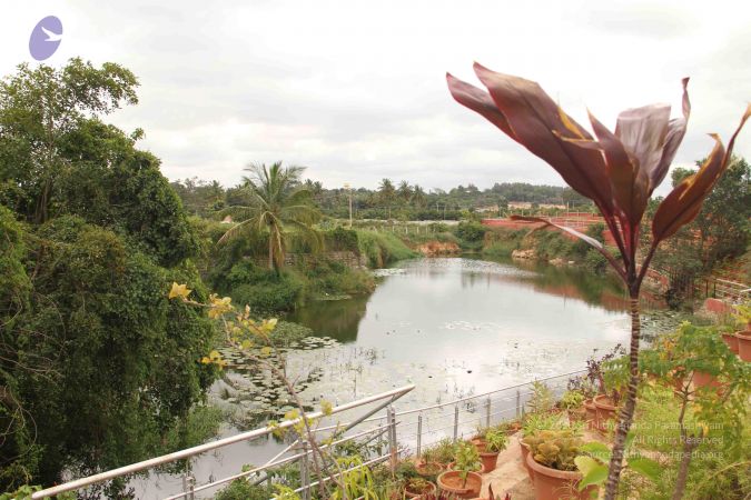 20140905 Photo 1147 13gAYO7gzBeFG8u1i-44Y2SbfKzlC9SMA.JPG