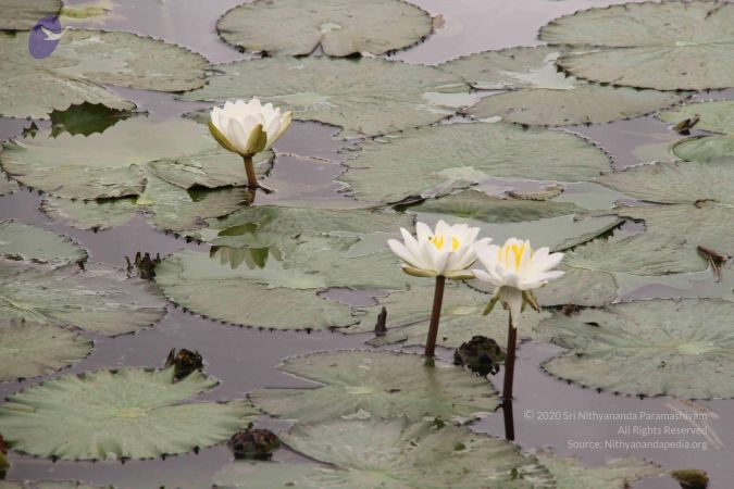 20140905 Photo 1148 1Qc5-iNl2r87wxZ1F8gGzV2Lczj90J33p.JPG