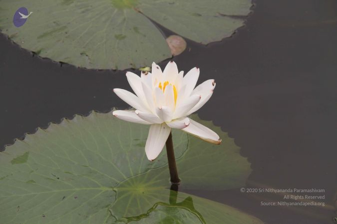 20140905 Photo 1149 1NN4jBgo9X661VYHrckcOk4aadAsniJ7r.JPG