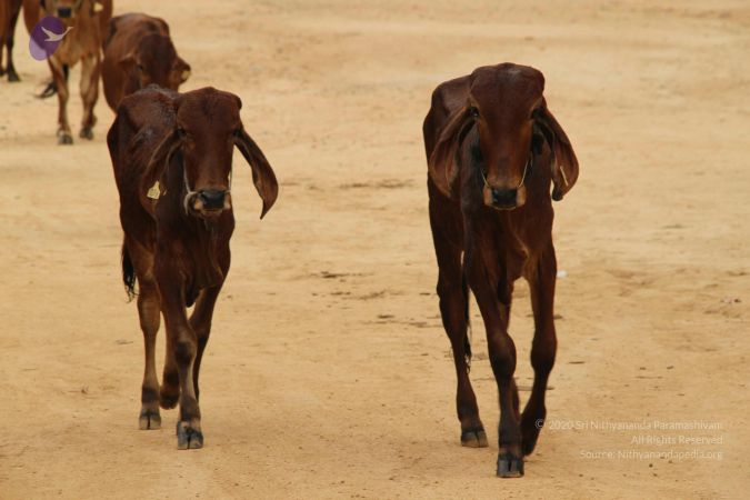 20140905 Photo 1161 1azfafCacbAqrMOW9hGFdje6utfKuzYUh.JPG