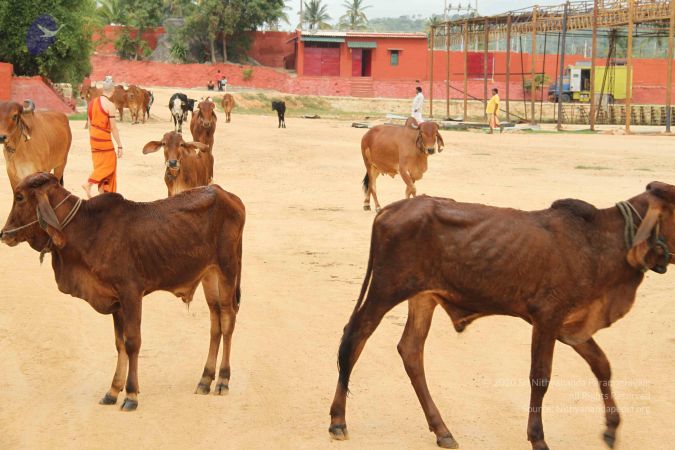 20140905 Photo 1162 10zXx9uEMwkw43VCAKFVQ0rHMlPeKFcpI.JPG