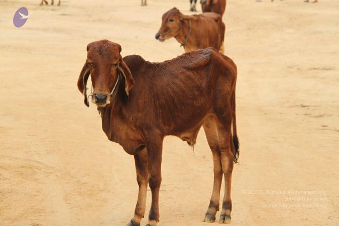 20140905 Photo 1163 1tardk8PWvlO1p4-5Q55qGZZ-fRwZa2yw.JPG